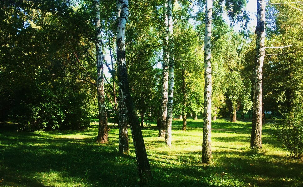 Сентябрь
