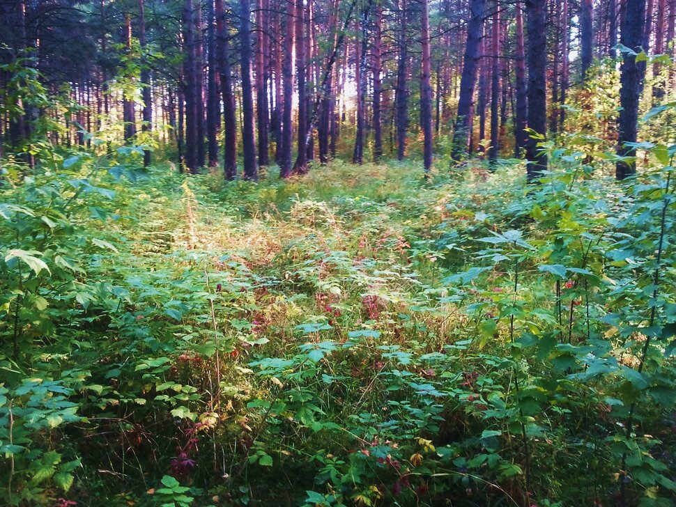 Сентябрь
