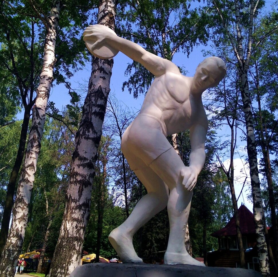 Деревья мешают размахнуться