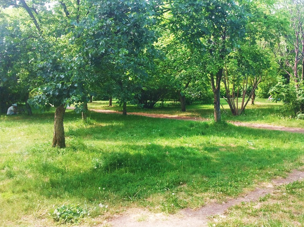 Июнь