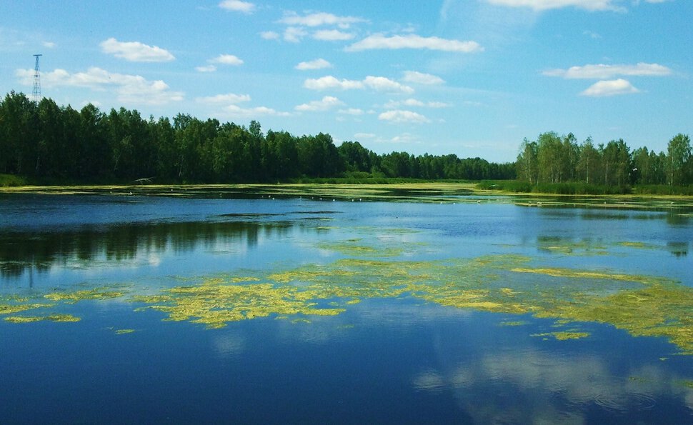 По загадочной реке