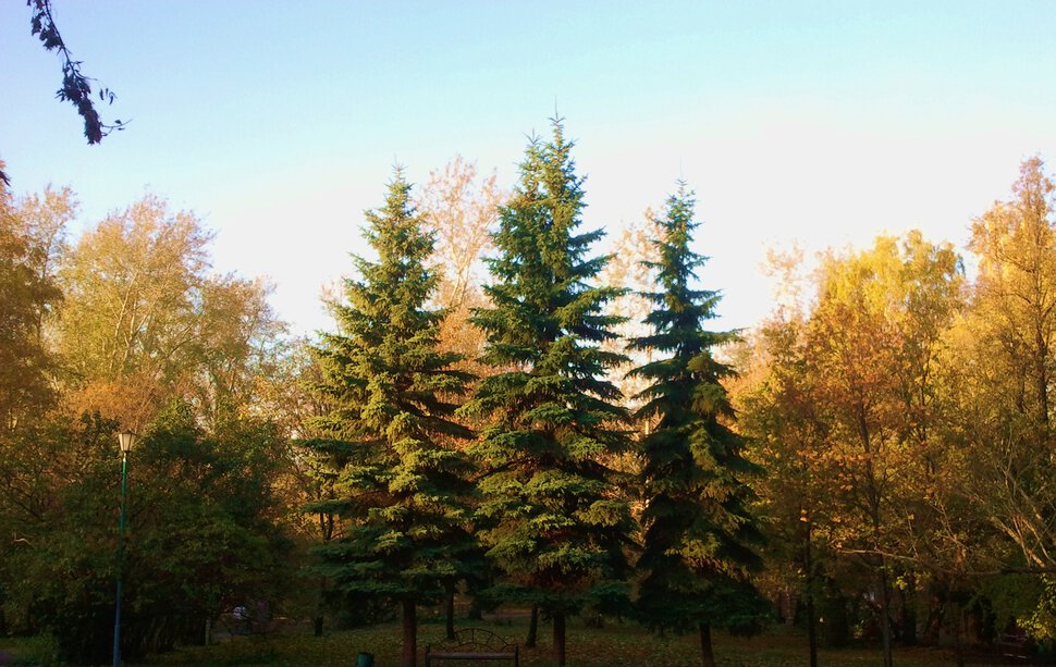 В Харитоновском парке