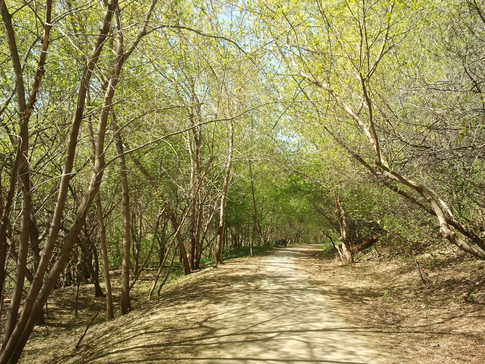 В весенних лучах