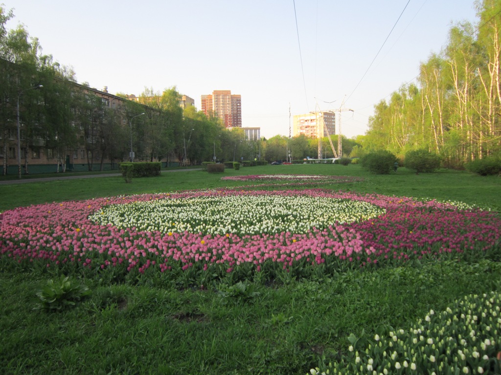 Кронштадтский бульвар москва