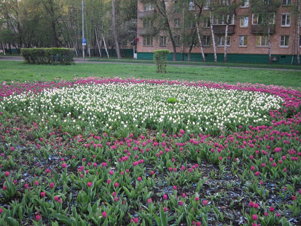Кронштадтский бульвар