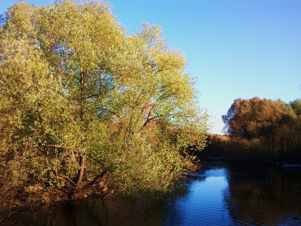 Осень и река