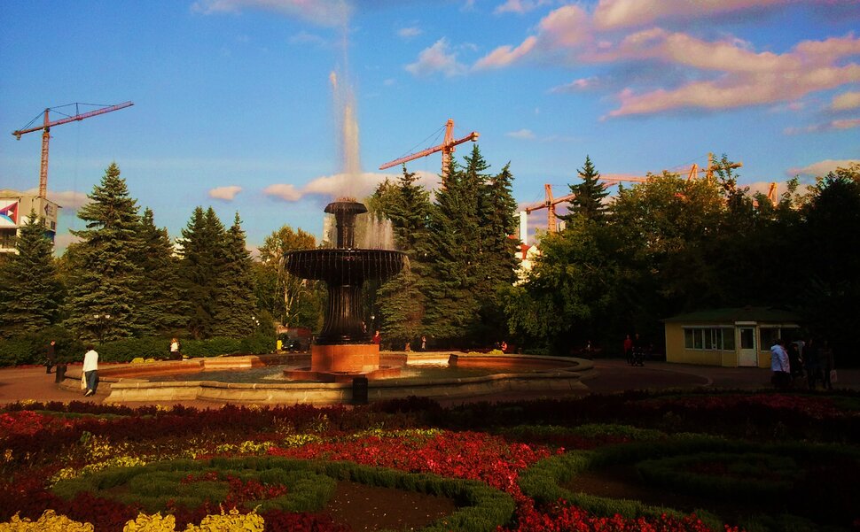 В дендрарии