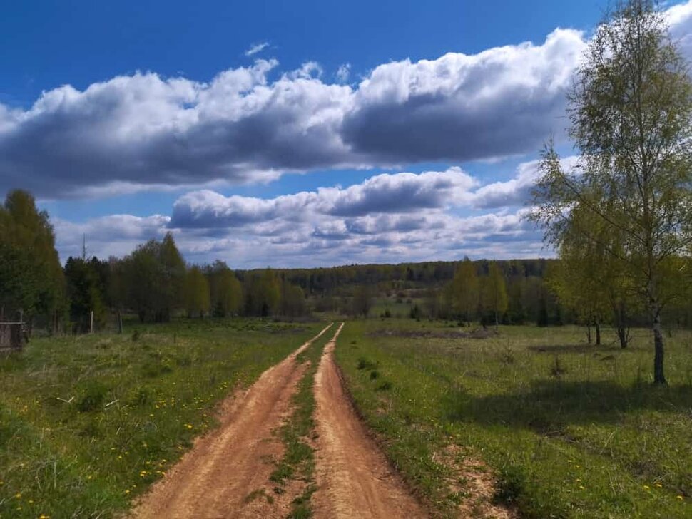 Весенние зарисовки