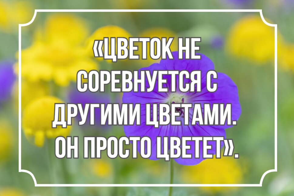 Цитата про цветок