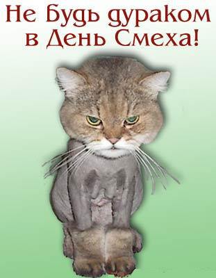 День смеха