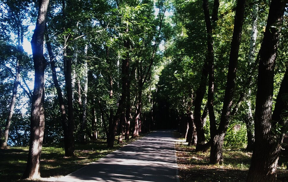 По аллейке