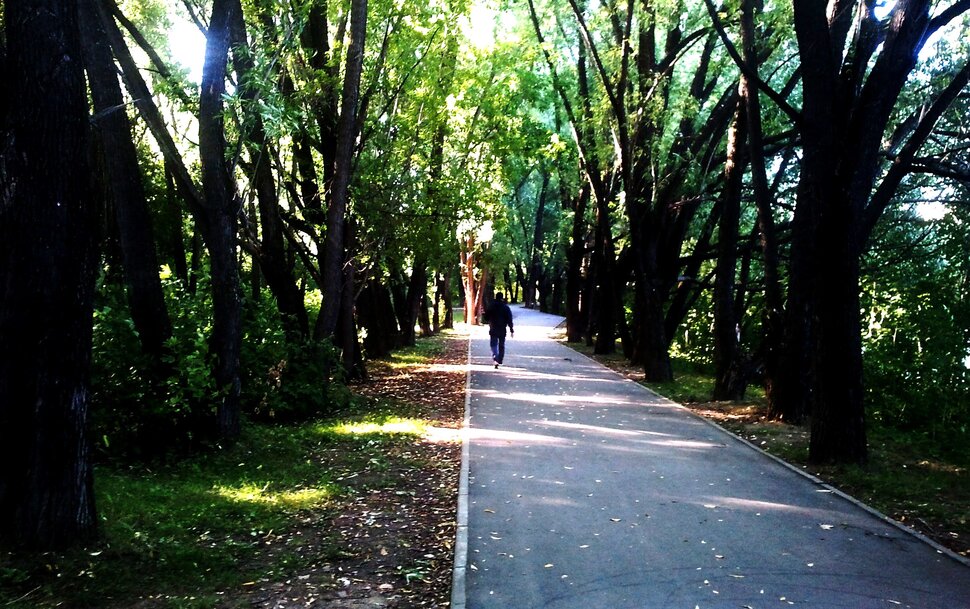 Прогулка