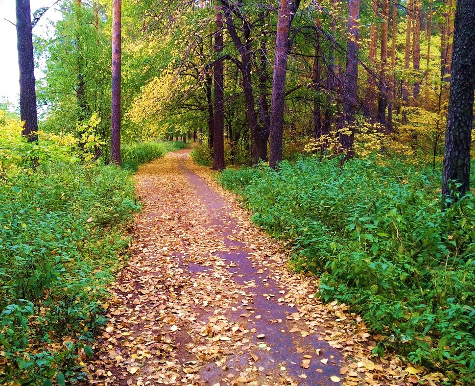 Сентябрь
