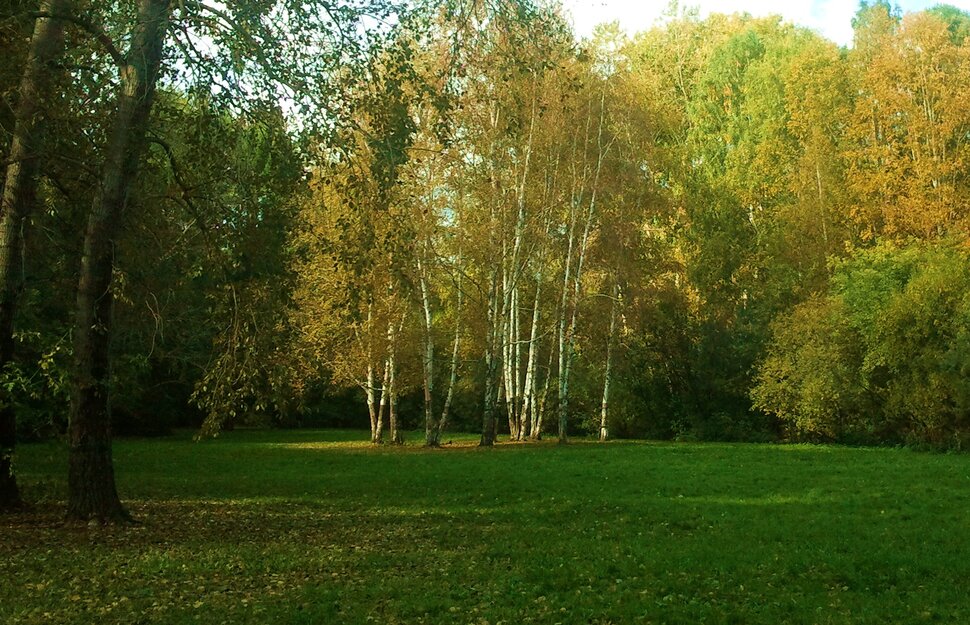 Сентябрь