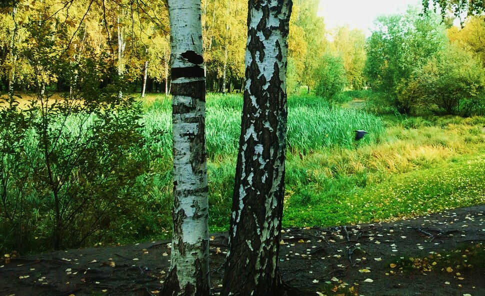 Сентябрь