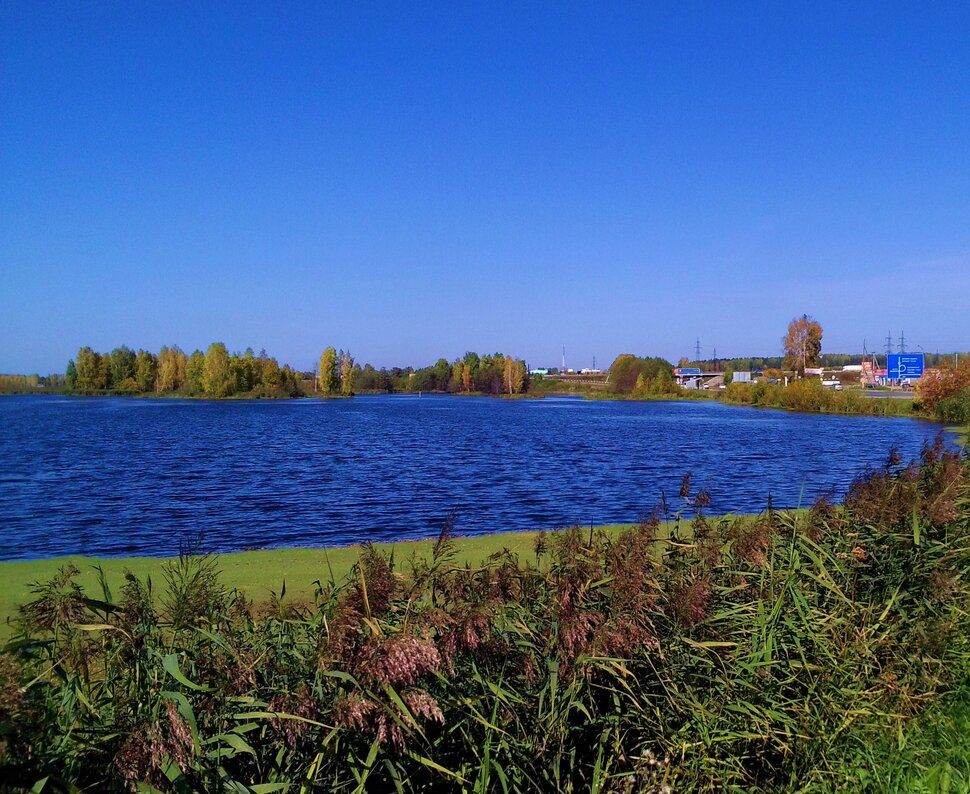 У реки