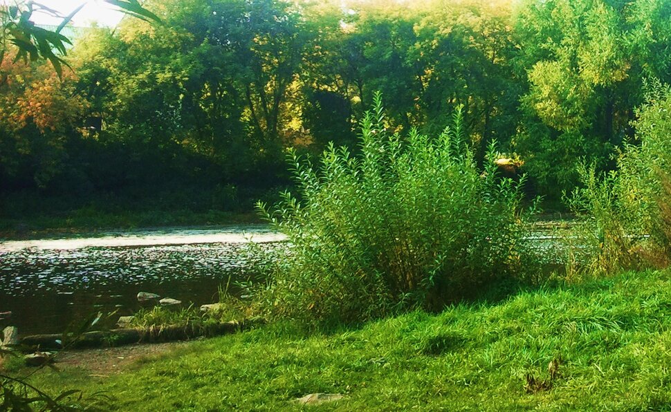 У реки