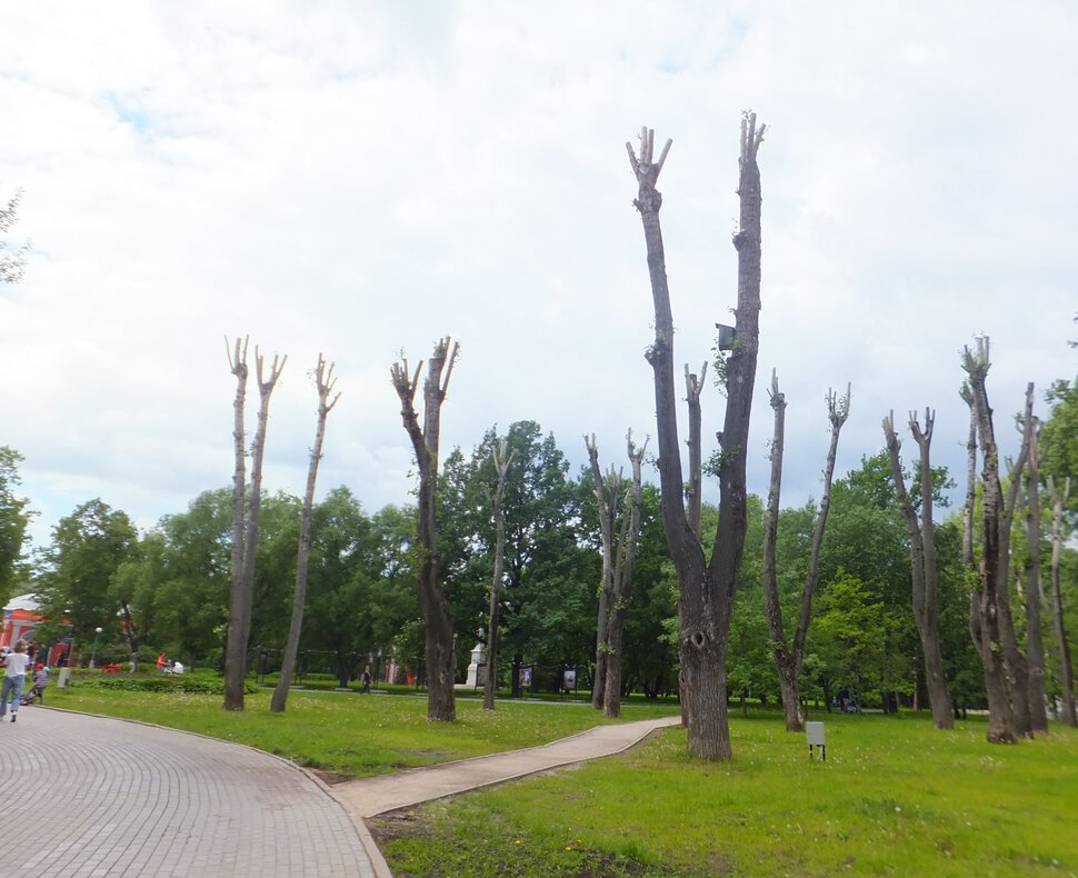 Благоустройство парка