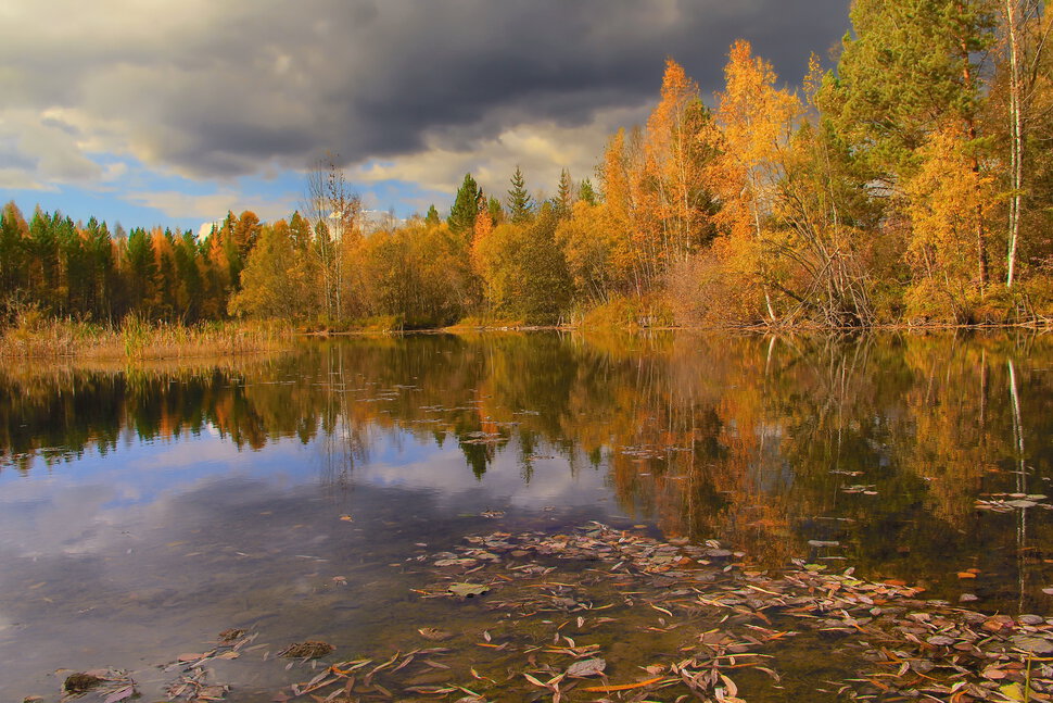 отгуляла осень золотая