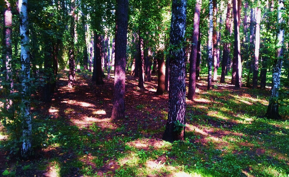 В лесочке