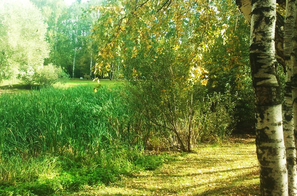 По лесочку