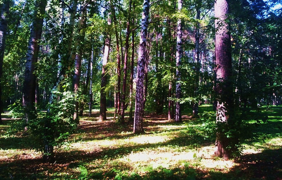 Сентябрь