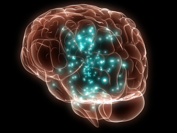 an analysis of the basic brain physiology and techniques of rehabilitation of traumatic brain injury The noninvasive brain stimulation (nibs) program at johns hopkins is one of the few programs of its kind in the country our program is run by recognized experts in the field of neurologic rehabilitation and motor learning who have more than 20 years of experience in nibs we offer different forms. an analysis of the basic brain physiology and techniques of rehabilitation of traumatic brain injury The noninvasive brain stimulation (nibs) program at johns hopkins is one of the few programs of its kind in the country our program is run by recognized experts in the field of neurologic rehabilitation and motor learning who have more than 20 years of experience in nibs we offer different forms.