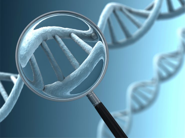 поиск фрагмента ДНК