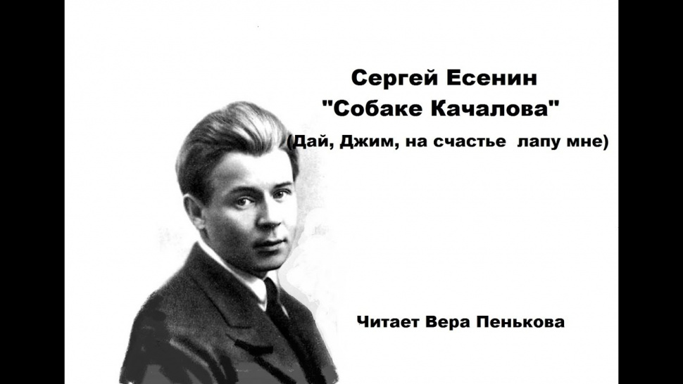 Есенин стихи дай джим на счастье. Есенин Джим. Дай Джим на счастье лапу мне Есенин. Стих про Джима Есенин.