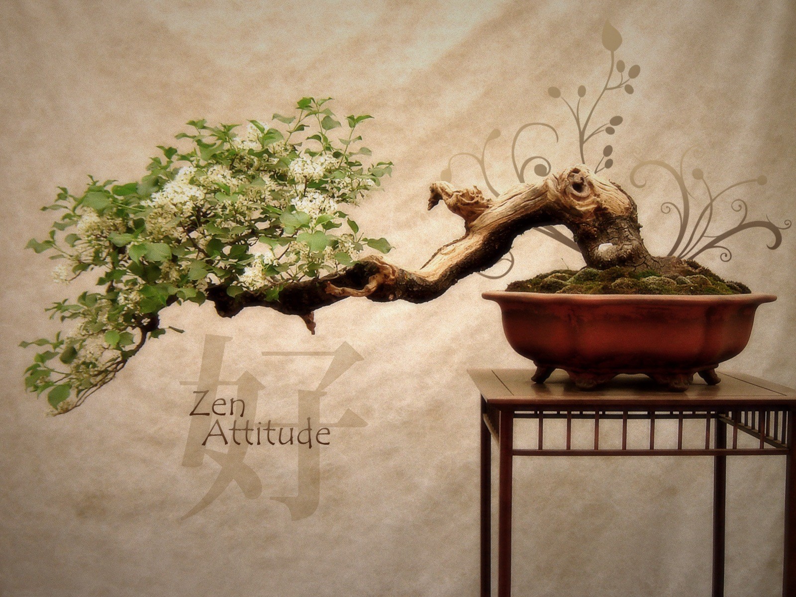 Explore The Zen Of Bonsai: Your Ultimate Beginner's Kit For A Tranquil Oasis