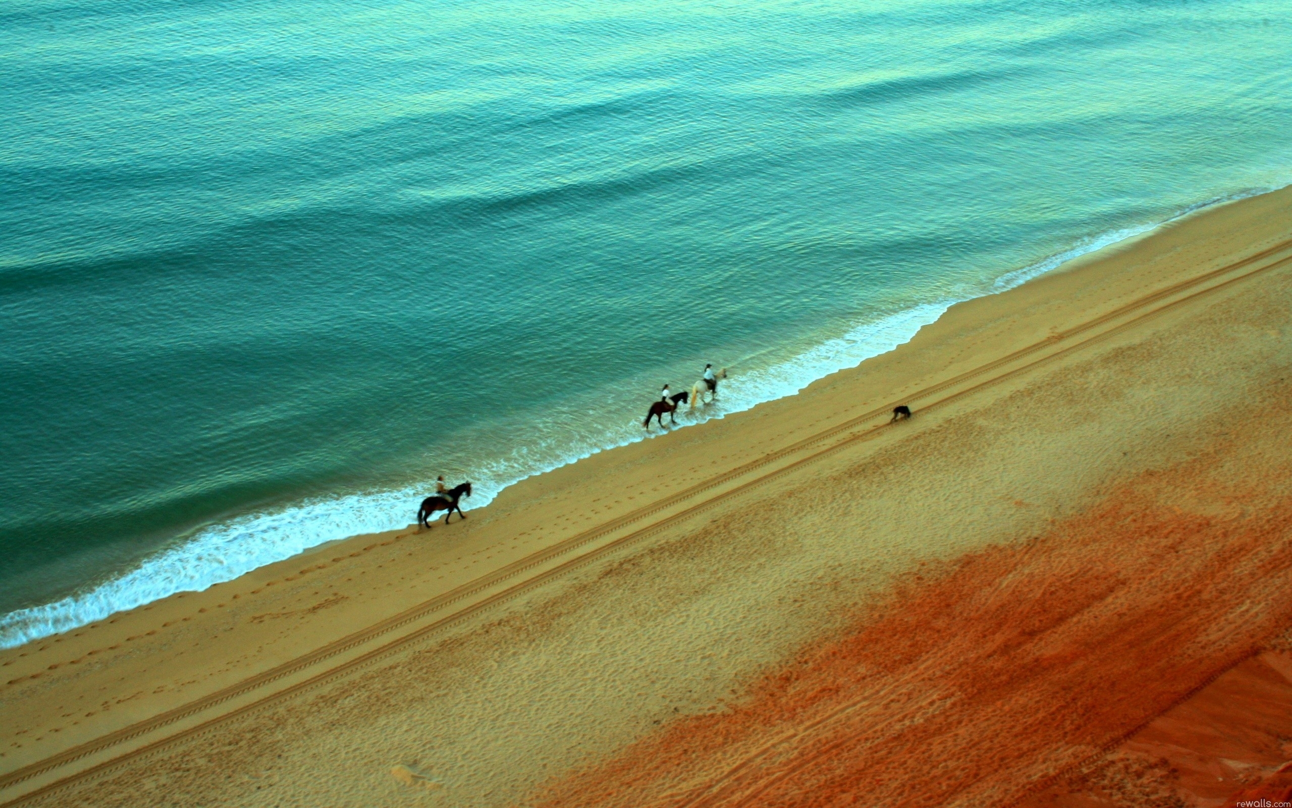 природа берег море гора скала лошадь наездник скачать