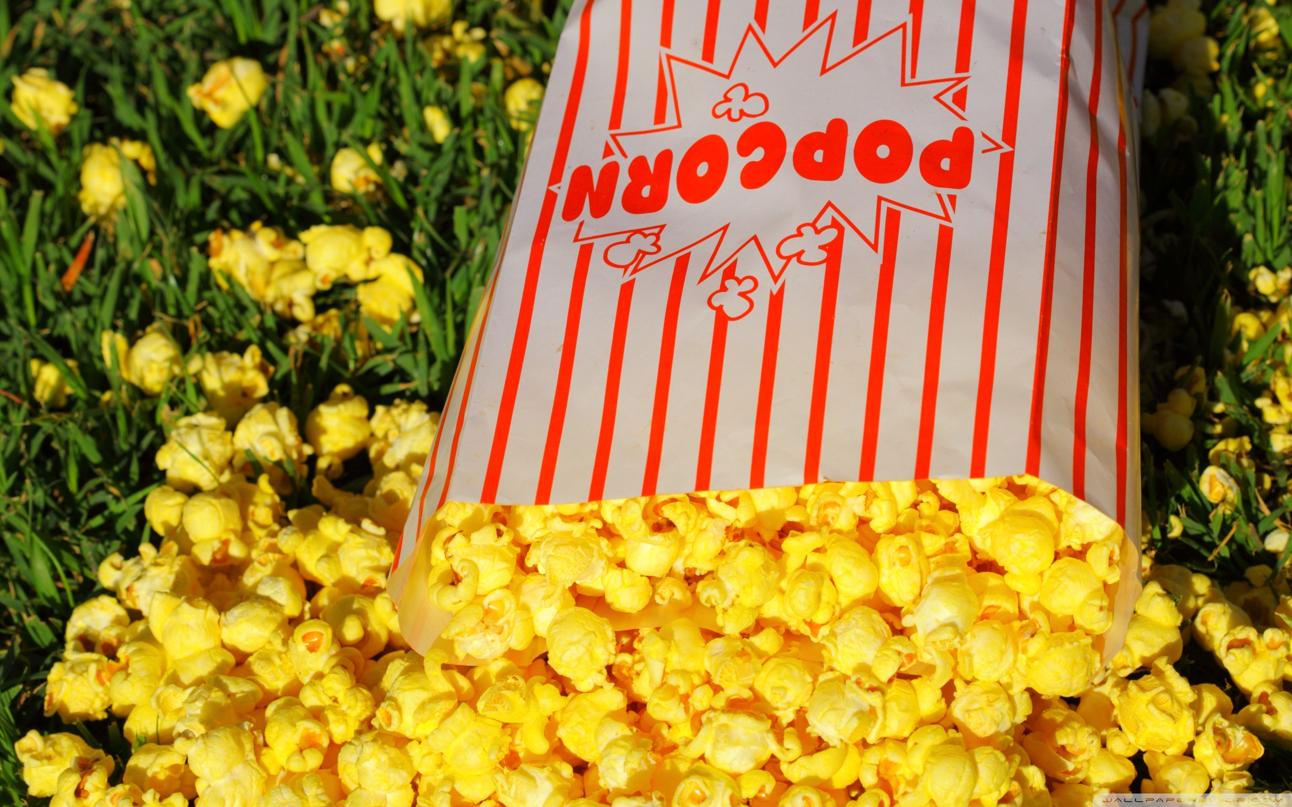 Inari Popcorn