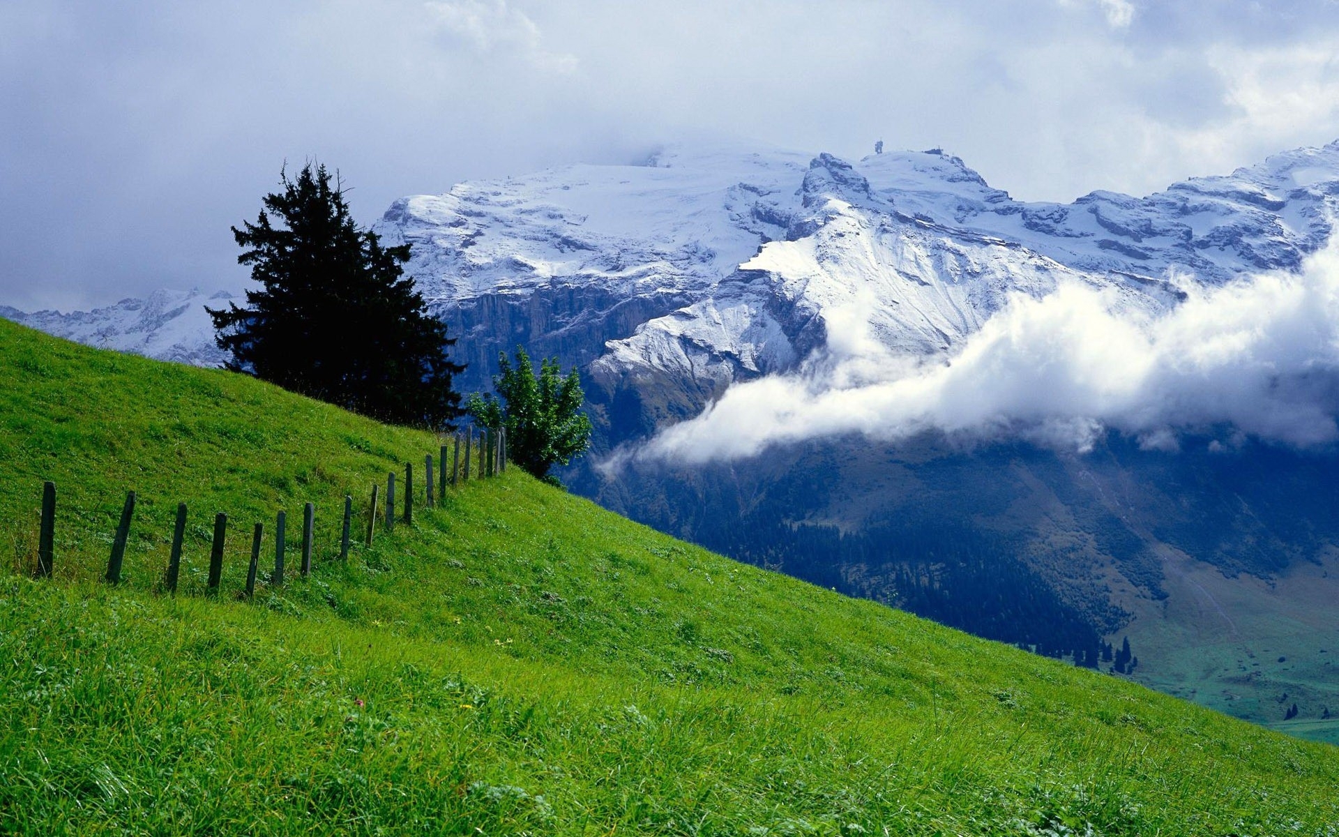 природа горы трава облака небо Швейцария скачать