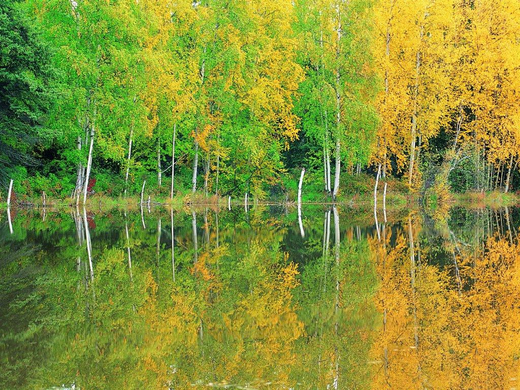 Картинки лето осень