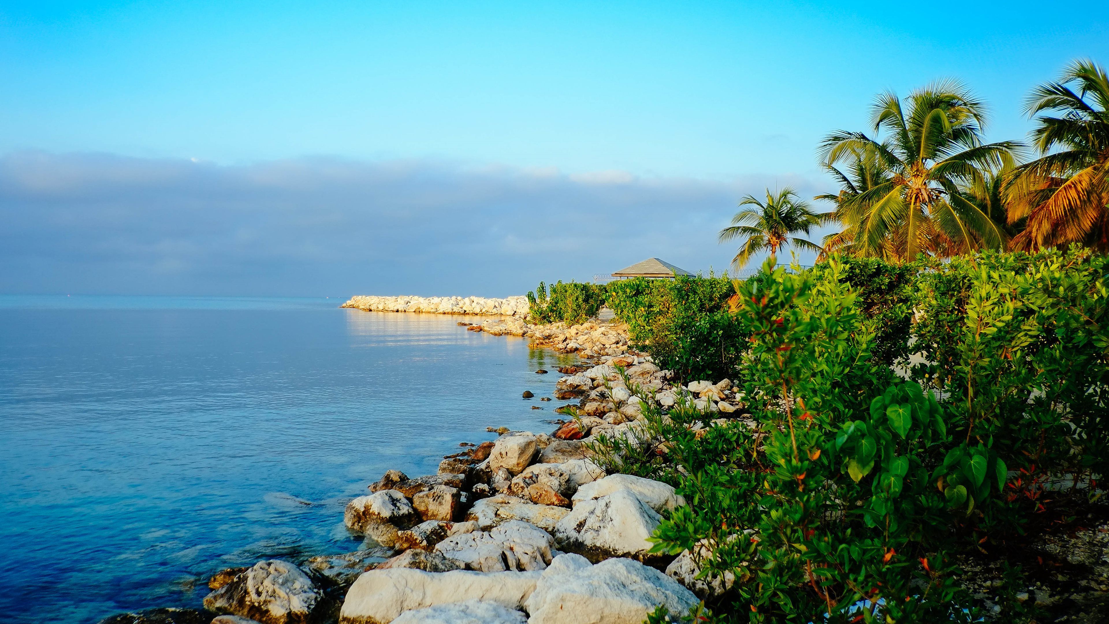 Океан на букву п. Остров Ямайка океан. Сочи Ямайка море. Тропики Ямайки. Ямайка бухта.
