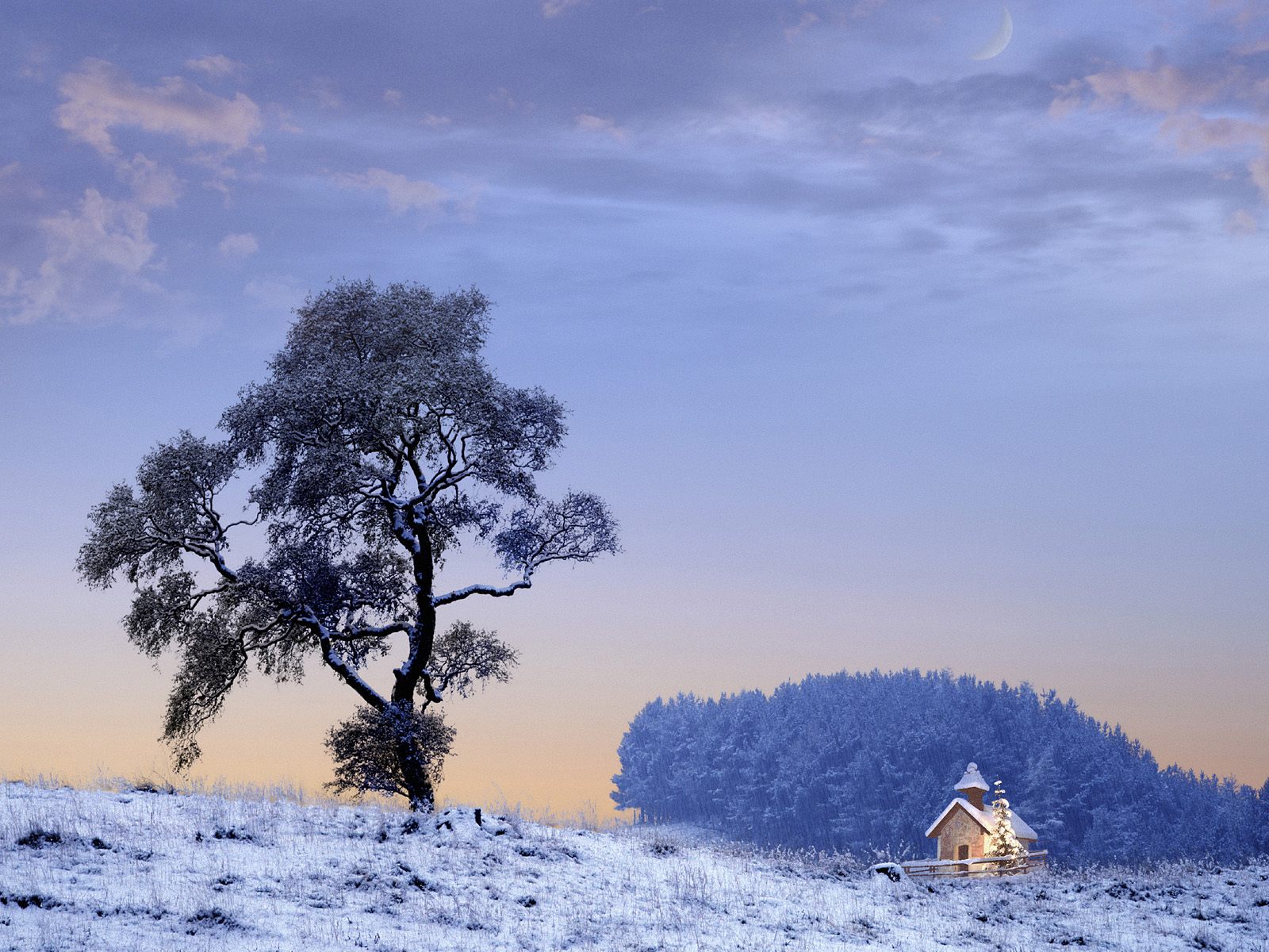 природа дом зима снег деревья без смс