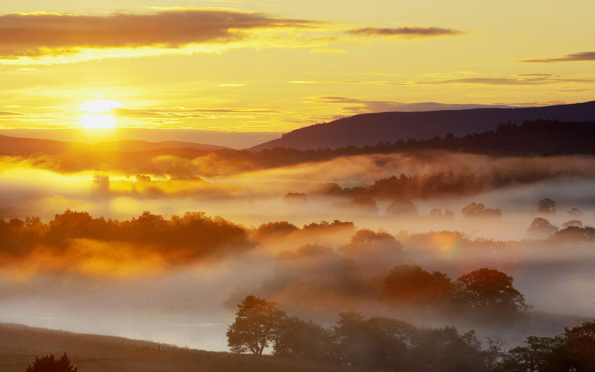 Morning Mist at Sunrise, Godalming, Surrey, England загрузить