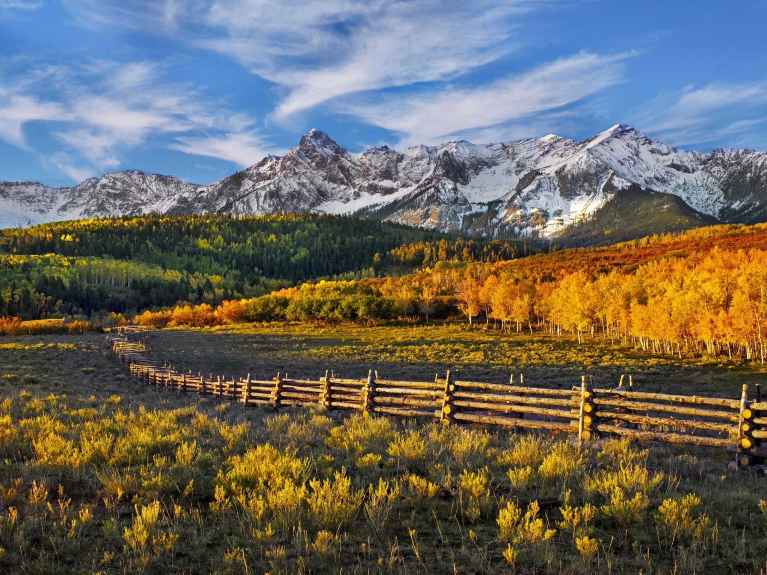 Paintbrush, Columbine, and Orange Sneezeweed, Sneffels Range, Colorado без смс