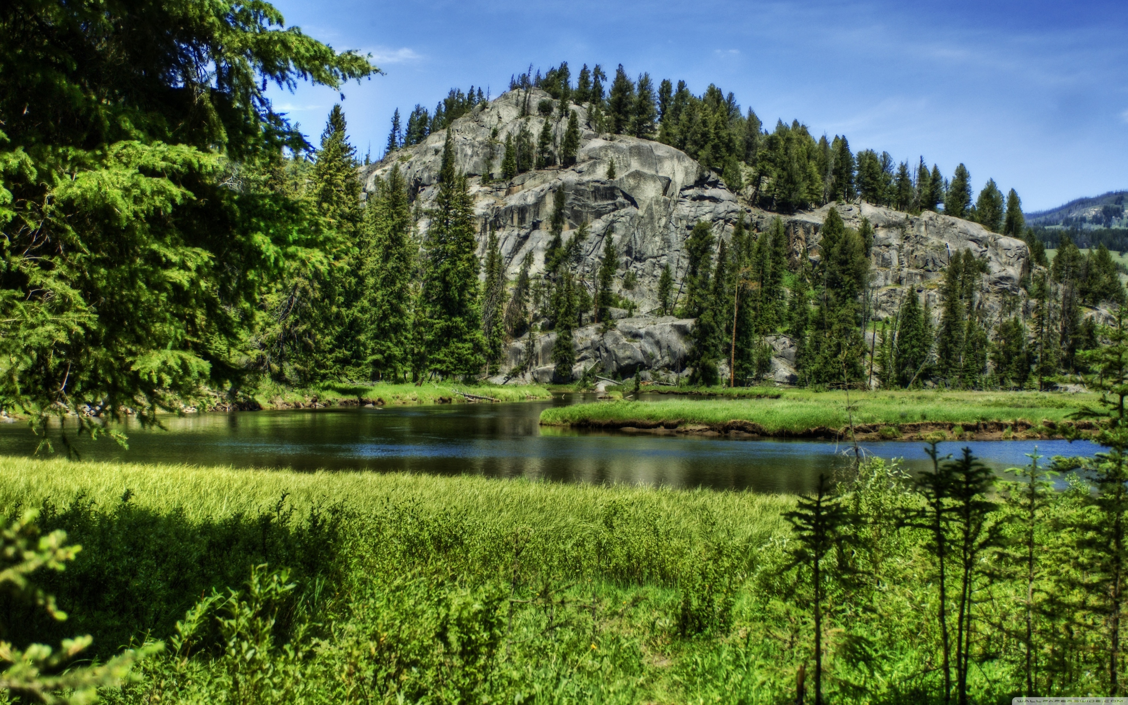 гора, река, камни, цветы, деревья скачать