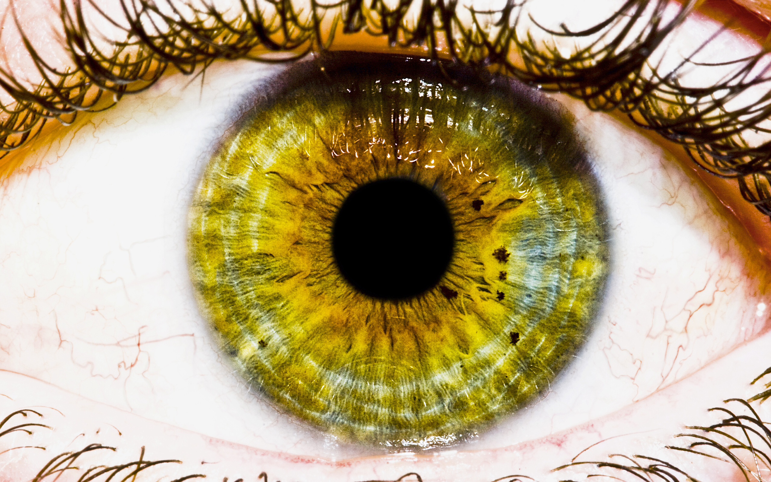 Глаз р. Желтые глаза. Красивые глаза. Желто зеленые глаза. Красивые Радужки глаз.
