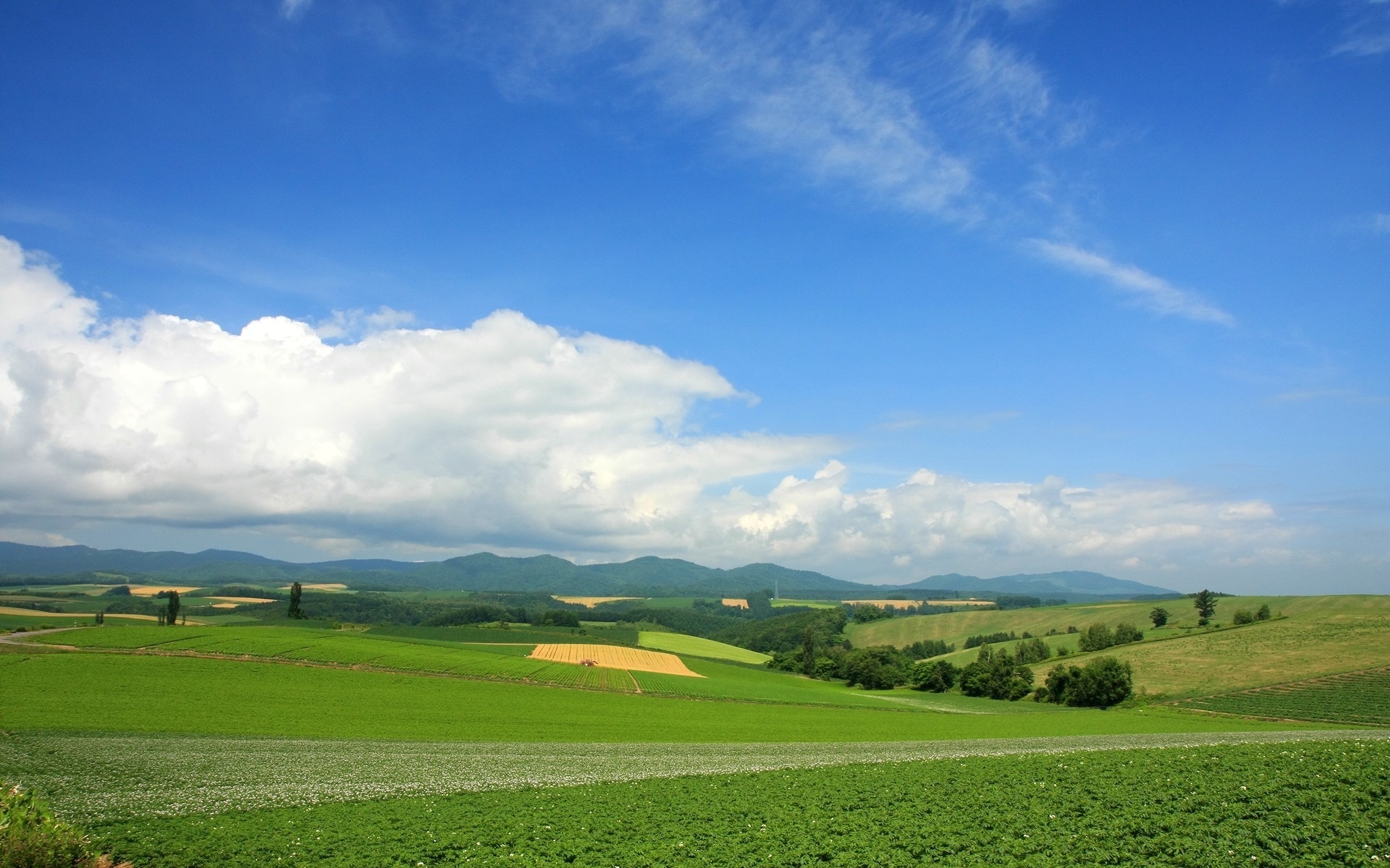Большие холмы. Монтьельская равнина Испания. Грузия ландшафт равнины. Ландшафт Румынии равнины. Пейзаж холмы.