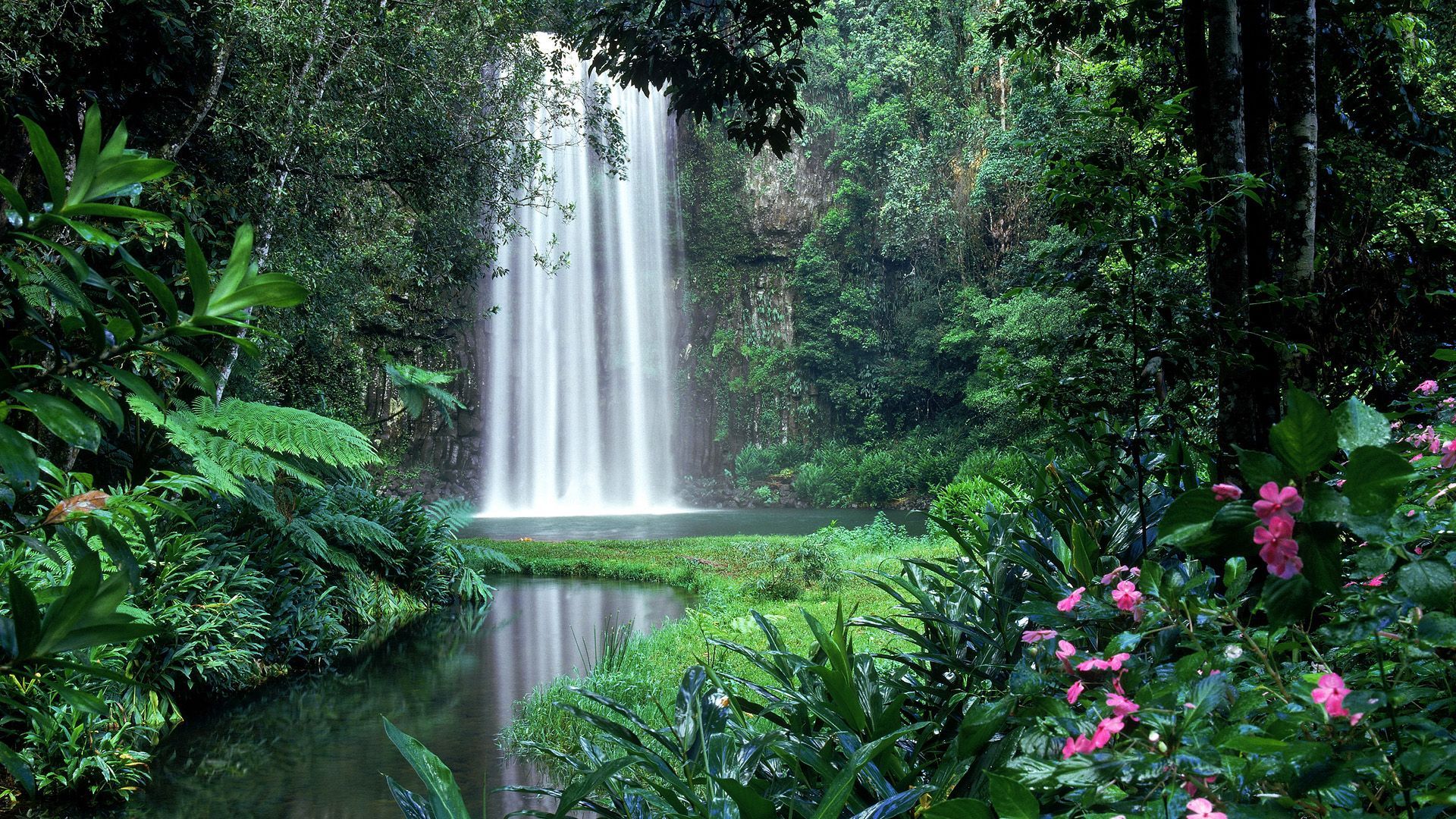 Hopetoun Falls, Otway Ranges, Victoria, Australia скачать