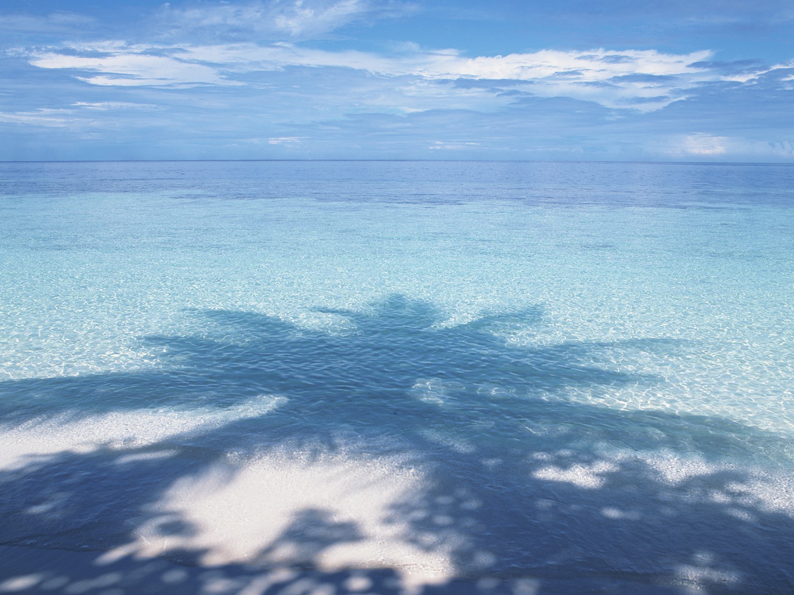 берег море вода shore sea water скачать