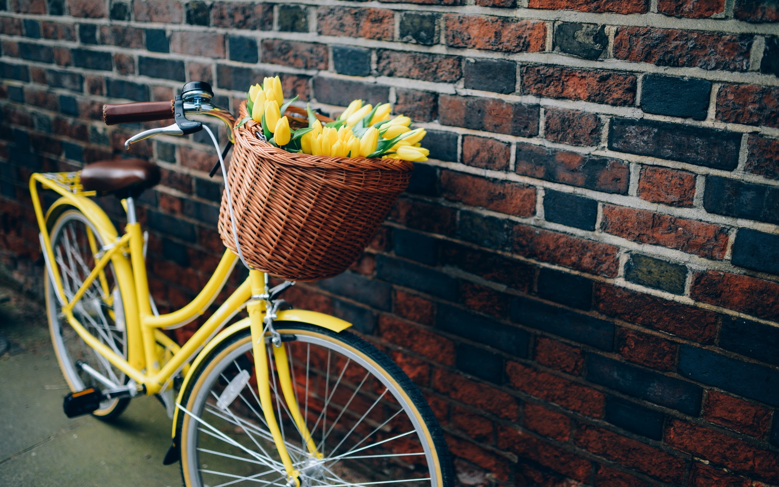 Девочка велосипед цветочки скачать