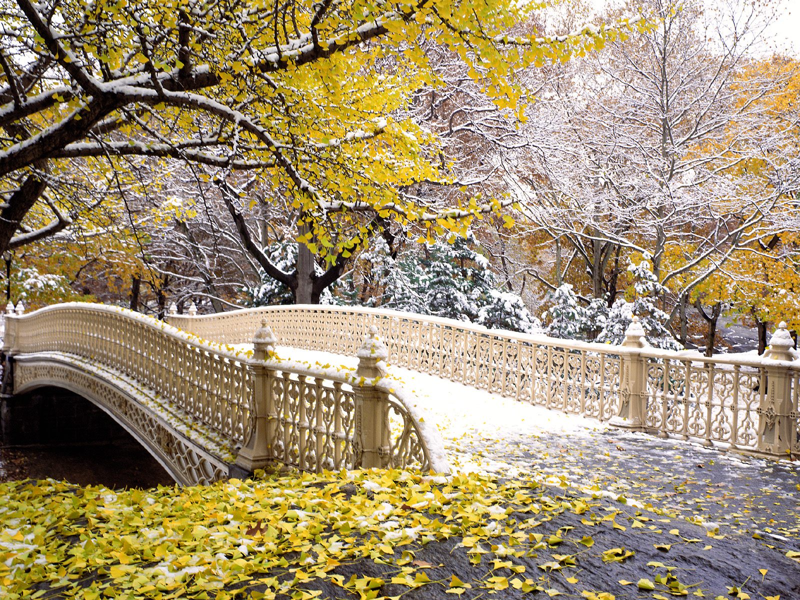Красивые картинки первый. Осень в Нью-Йорке Центральный парк. Поздняя осень. Поздняя осень в парке. Ноябрьский пейзаж.