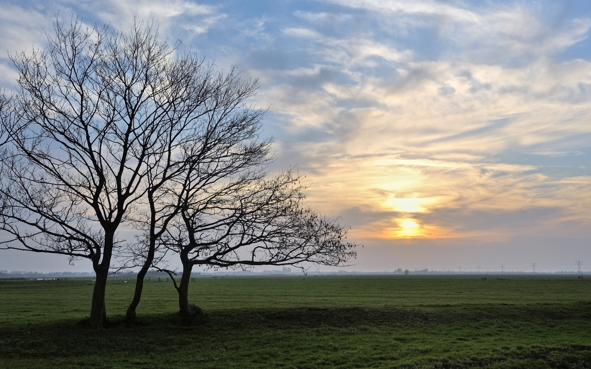 мак дерево поле Mac tree field загрузить