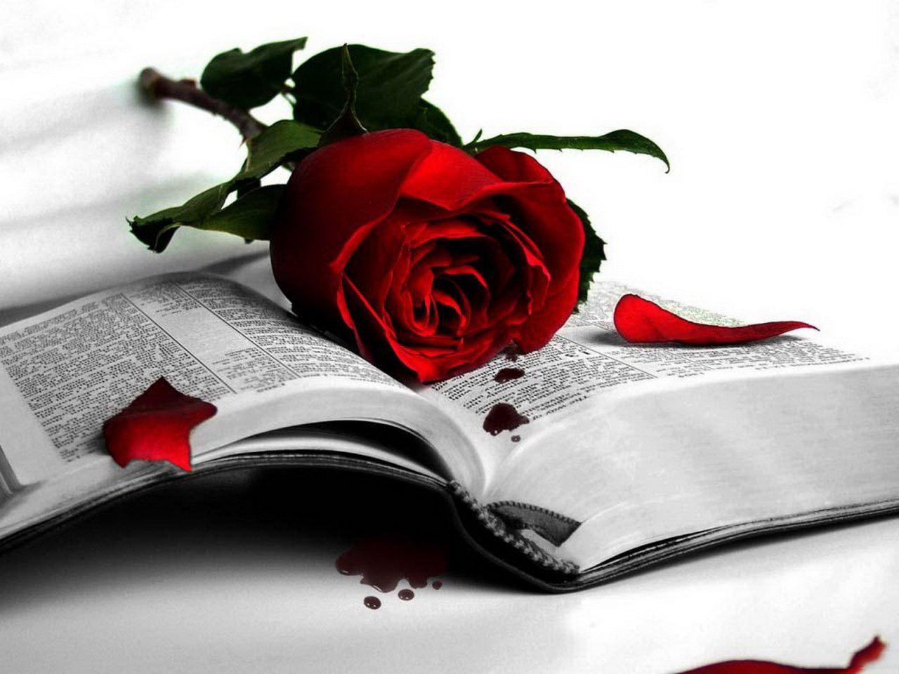Она никогда поэзия. Красивые книги и розы. Книги на фоне цветов.