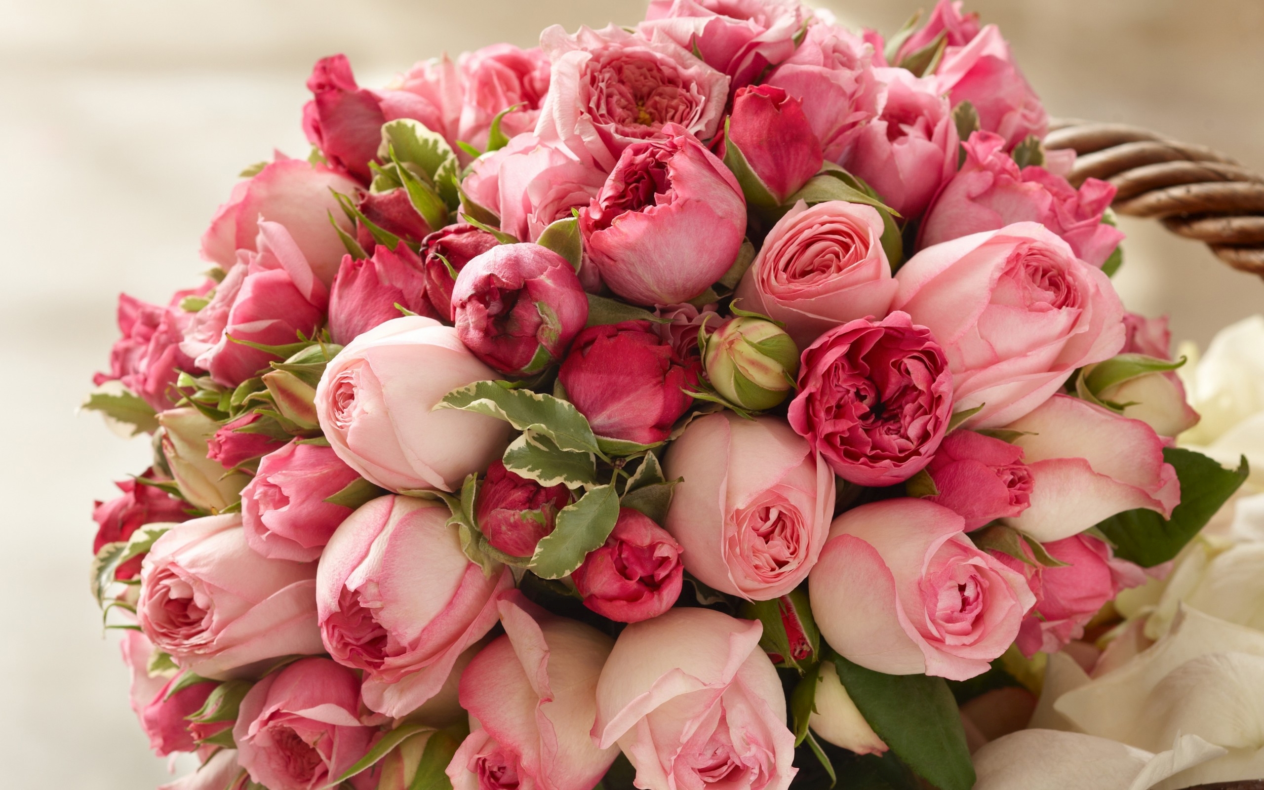 Открытка с красивыми цветами поздравляем. Пионовидные тюльпаны букет. Букет шикарный. Шикарные цветы.
