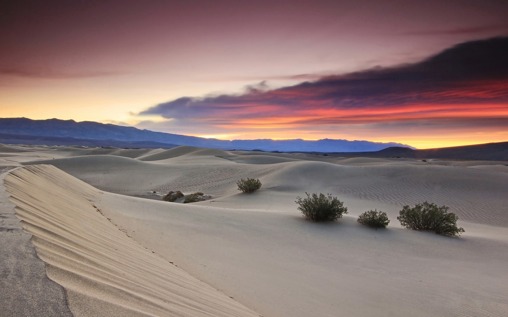 Beautiful desert