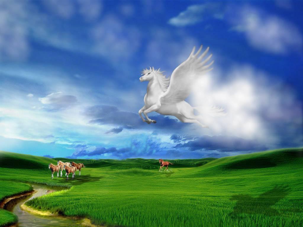 Белая лошадь в облаках бесплатно